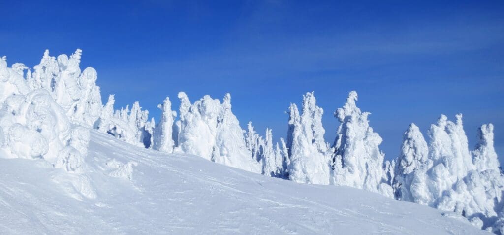 a backcountry mountain blanketed thickly in snow on a bluebird day schweitzer winter activities featured image