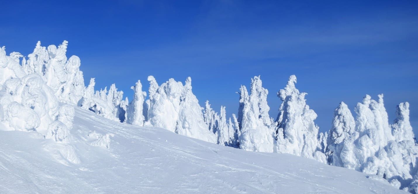 Schweitzer Winter Activities: Cats, Choppers, And Snow Machines!